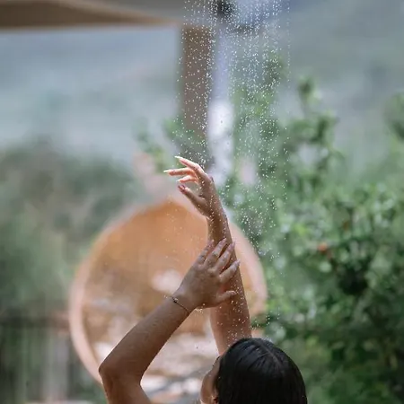 Oaza Thasos * Принос